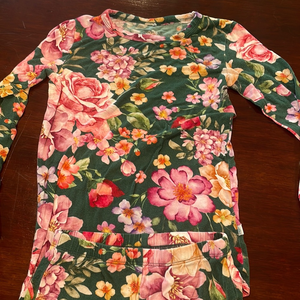 Posh Peanut 5T girls pajamas